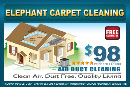 Elephant Carpet Cleaning | 5826 New Territory Blvd #607, Sugar Land, TX 77479 | Phone: (281) 962-4391