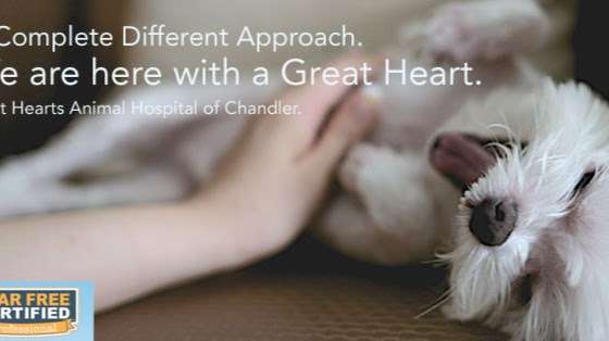 Great Hearts Animal Hospital of Chandler | 4015 S Arizona Ave #10, Chandler, AZ 85248, USA | Phone: (480) 895-3223