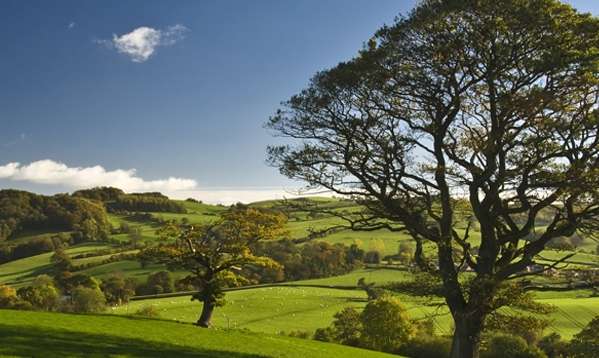 Tillow Barn Health & Wellbeing, Brockham | Tillow Barn, Roothill Lane, Brockham, Betchworth RH3 7AS, UK | Phone: 01737 844659