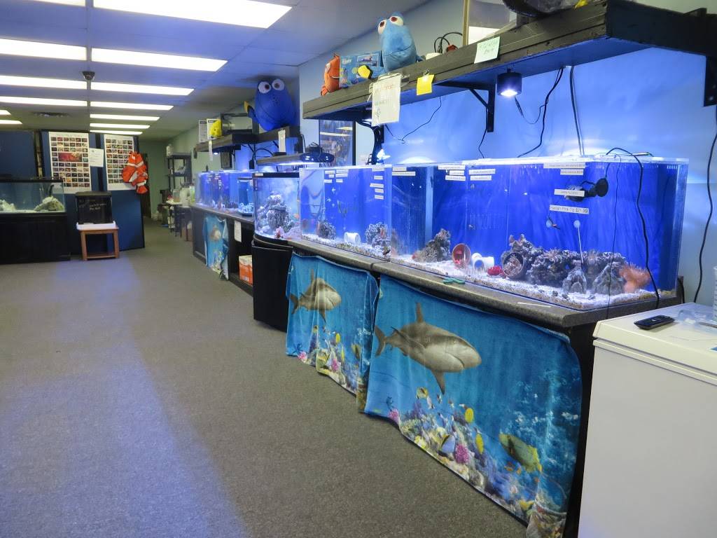 Aqua Culture, LLC | 5153 Suder Ave, Toledo, OH 43611, USA | Phone: (419) 346-1578