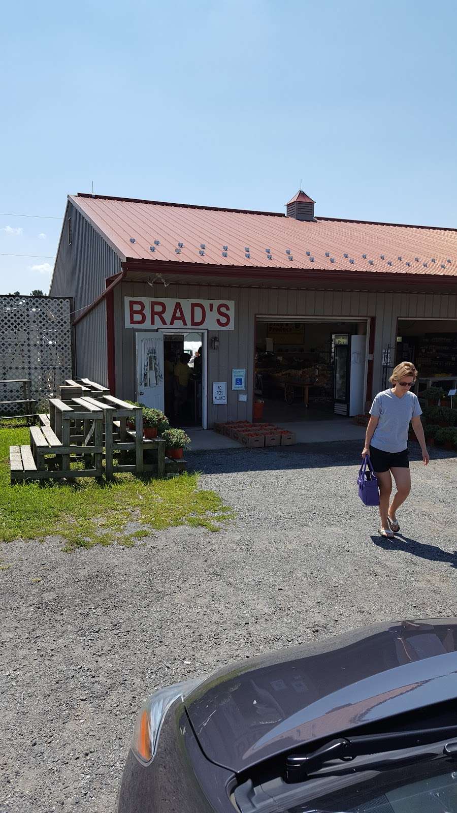 Brads Farm Market | 550 Asbury Rd, Churchville, MD 21028 | Phone: (410) 734-4769