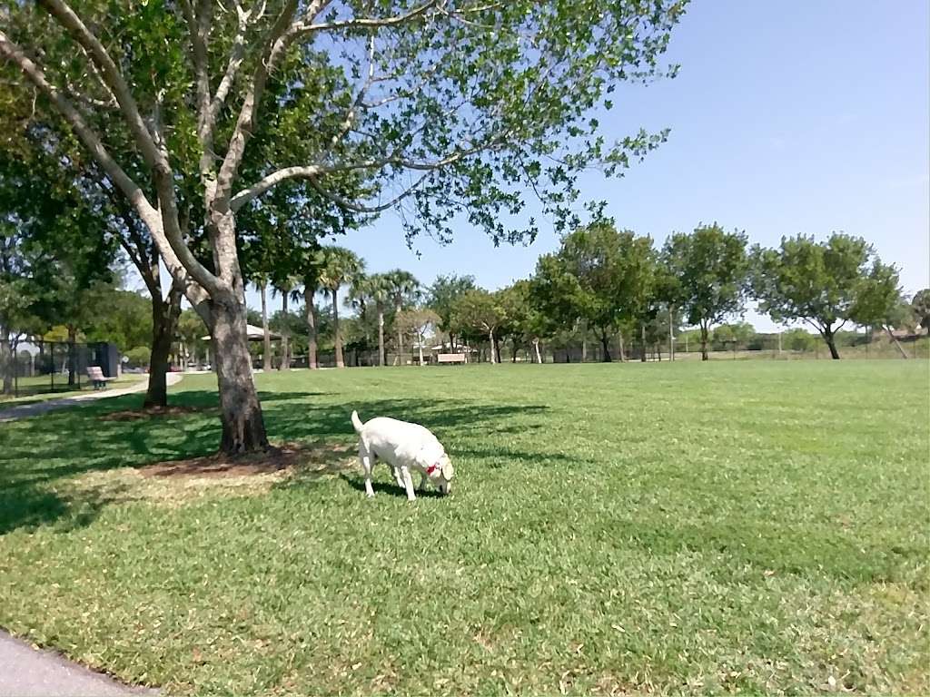 Canine Cove at South County Regional Park | 12551 Glades Rd, Boca Raton, FL 33498 | Phone: (561) 966-6600