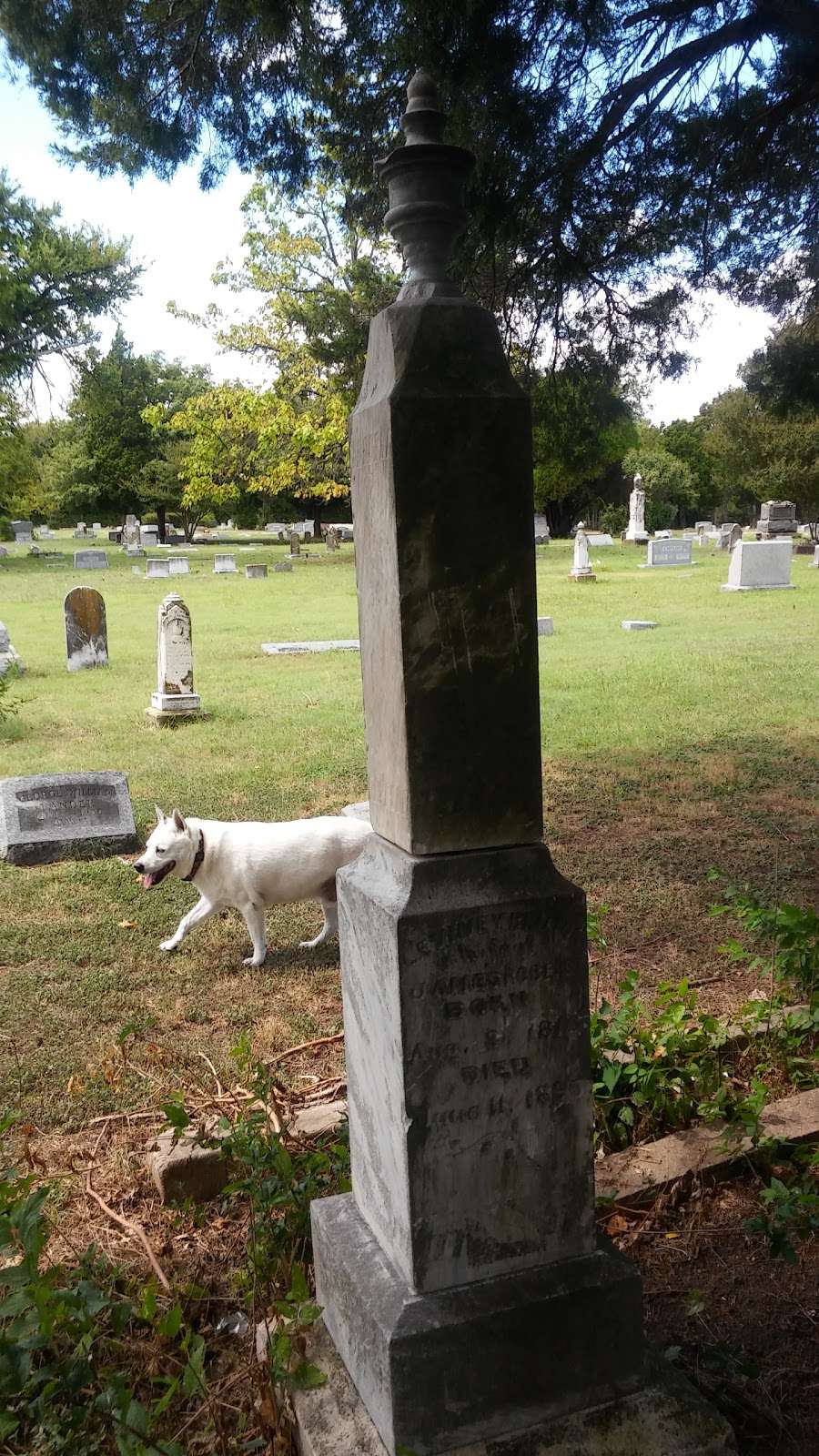 Pleasant Mound Public Cemetery | 3151 S Buckner Blvd, Dallas, TX 75227, USA | Phone: (214) 388-4110