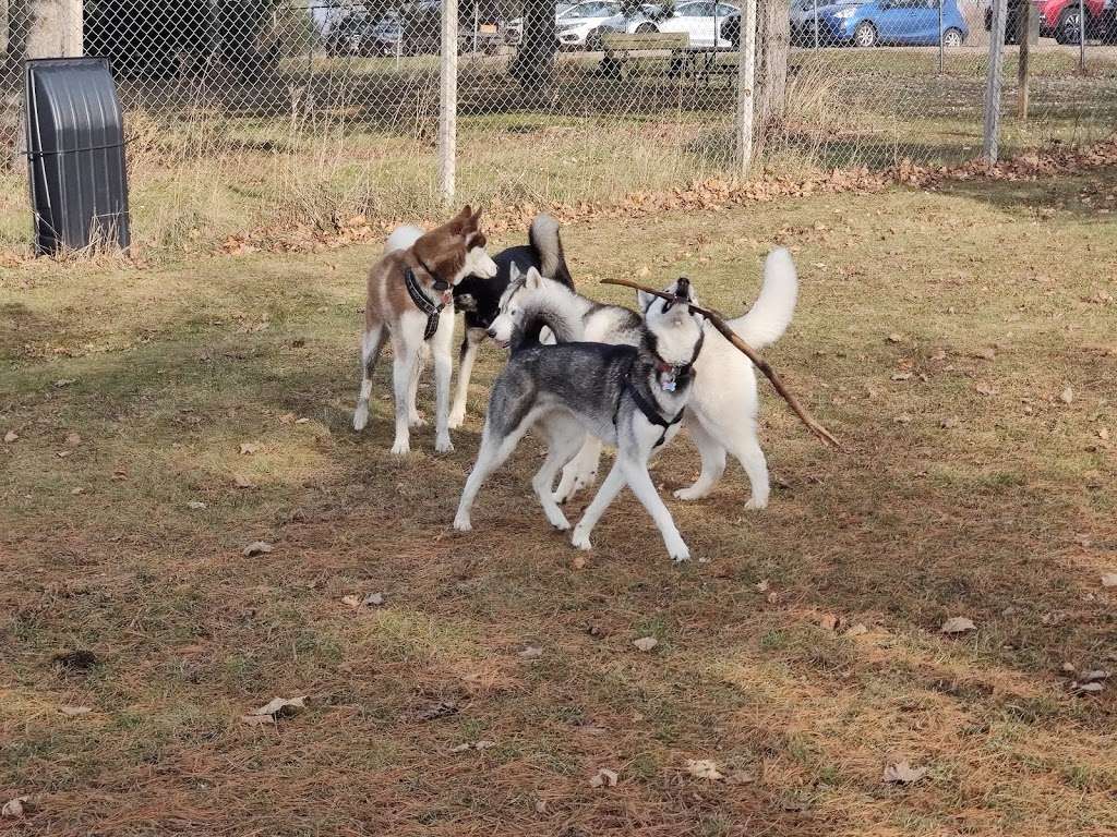 Terri Tinsley Dog Exercise Area | W5098 Canine Dr, Johnson Creek, WI 53038, USA | Phone: (920) 674-7260