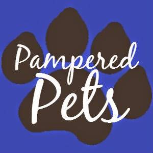 Pampered Pets | 3303 Hancock Dr, Austin, TX 78731, USA | Phone: (512) 323-5745
