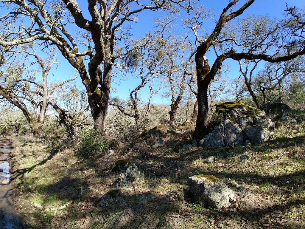 Lake Ilsanjo Dam | Lake Trail, Santa Rosa, CA 95404, USA