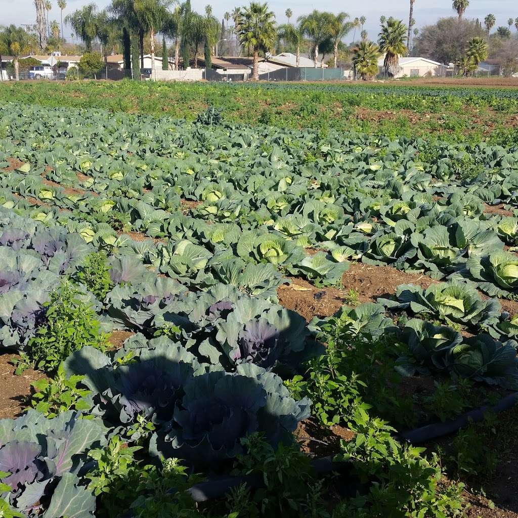 Corona Farm | 7301 Victoria Ave, Riverside, CA 92504