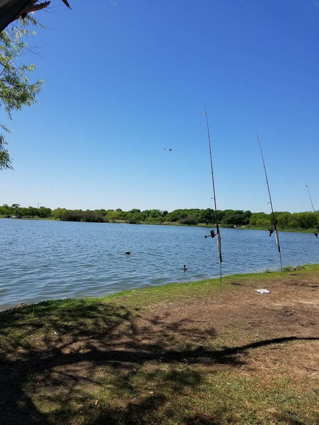 Braunig Lake Park | 17500 Donop Rd, San Antonio, TX 78223, USA | Phone: (210) 635-8289