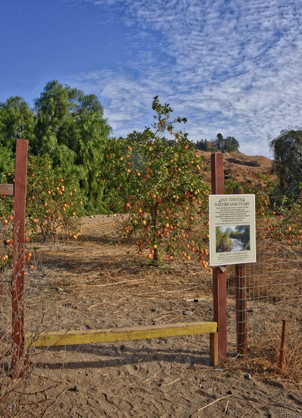 San Timoteo Reach 3B | Carriage Trail, Redlands, CA 92373, USA