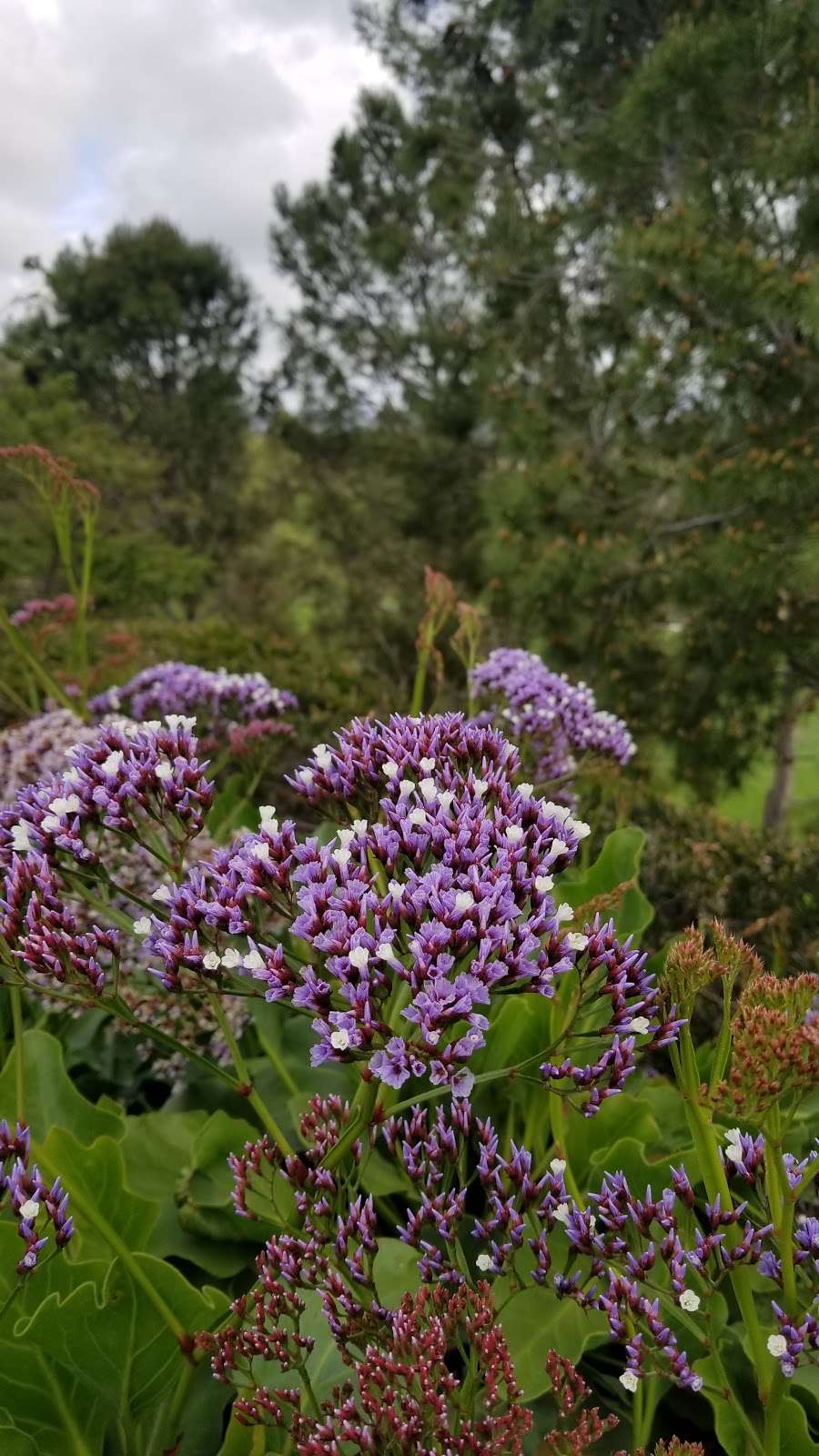 Creekside Park | Cedarbrook, Aliso Viejo, CA 92656, USA