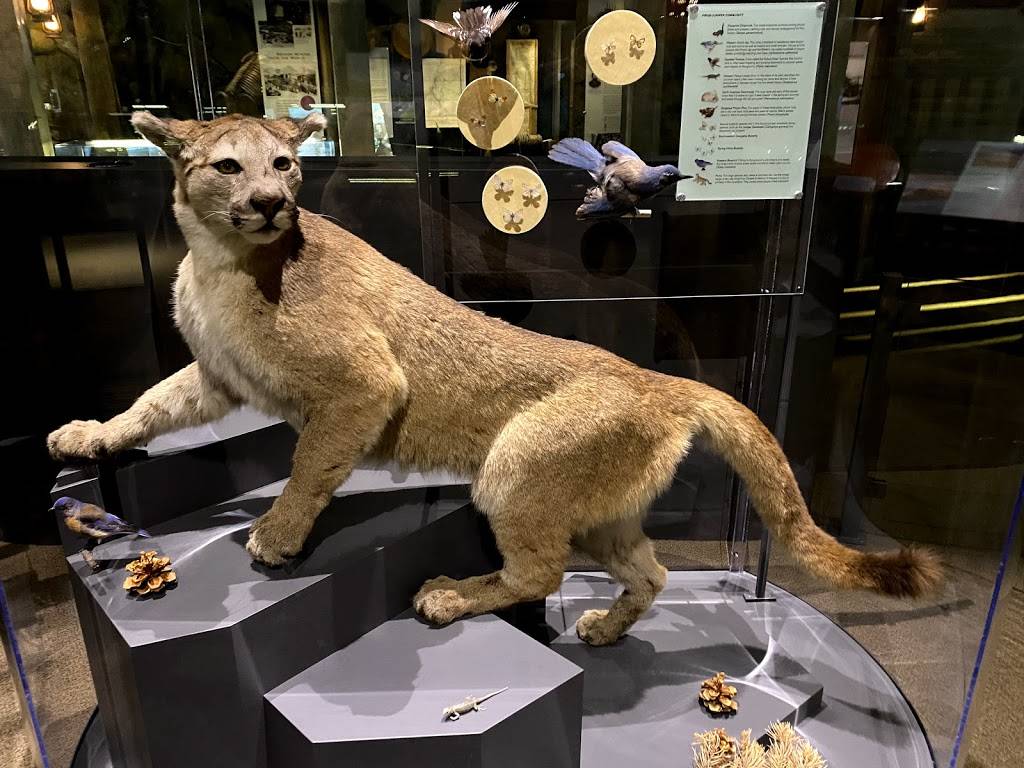 Nevada State Museum, Las Vegas | 309 S Valley View Blvd, Las Vegas, NV 89107, USA | Phone: (702) 486-5205