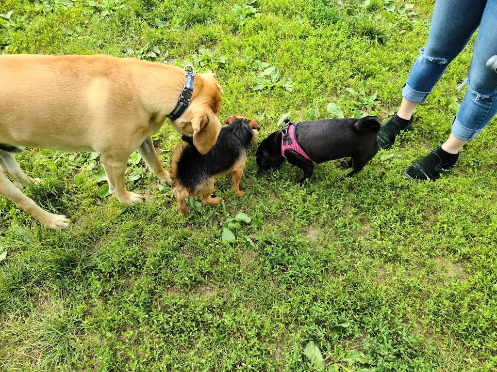 Otto Armleder Dog Park | 5057 Wooster Pike, Cincinnati, OH 45226 | Phone: (513) 521-7275