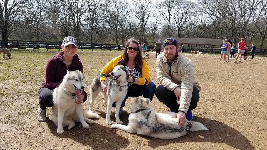 Edwin Warner Dog Park | 50 Vaughn Rd, Nashville, TN 37221, USA | Phone: (615) 862-8400