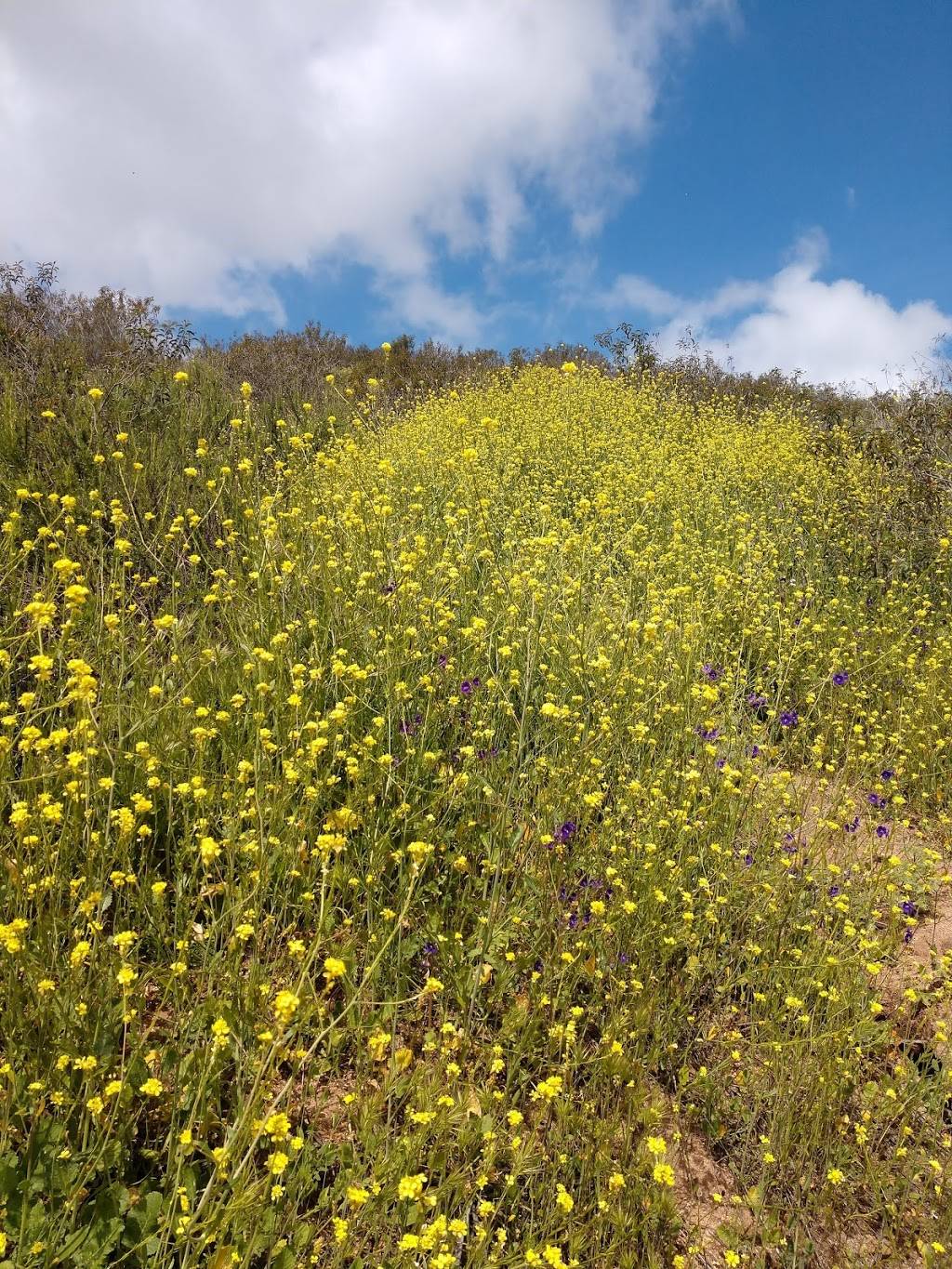 El Caballo Park | Escondido, CA 92027, USA