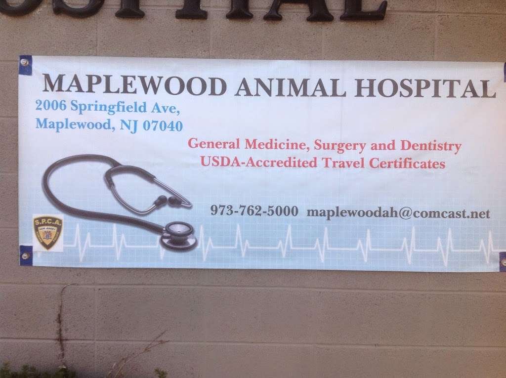 Maplewood Animal Hospital | 2006 Springfield Ave, Maplewood, NJ 07040 | Phone: (973) 762-5000
