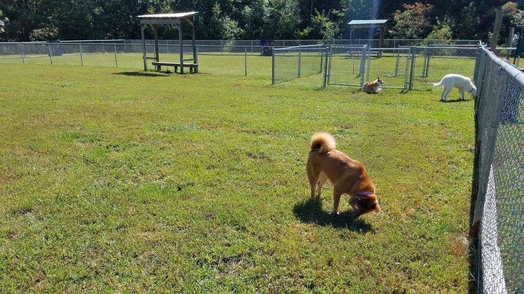 Bark Park Dog Park | 1892 New Bridge Rd, Mineral, VA 23117, USA