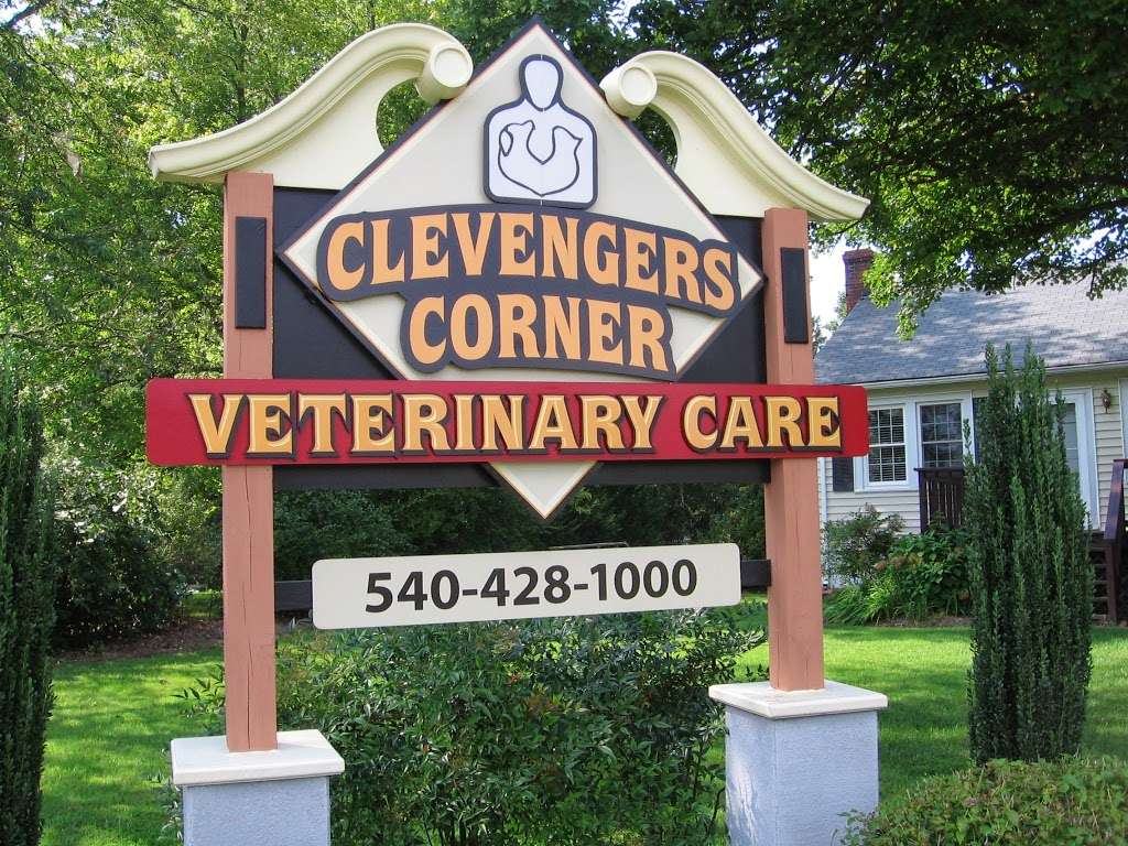 Clevengers Corner Veterinary Care | 18157 Lee Hwy, Amissville, VA 20106, USA | Phone: (540) 428-1000