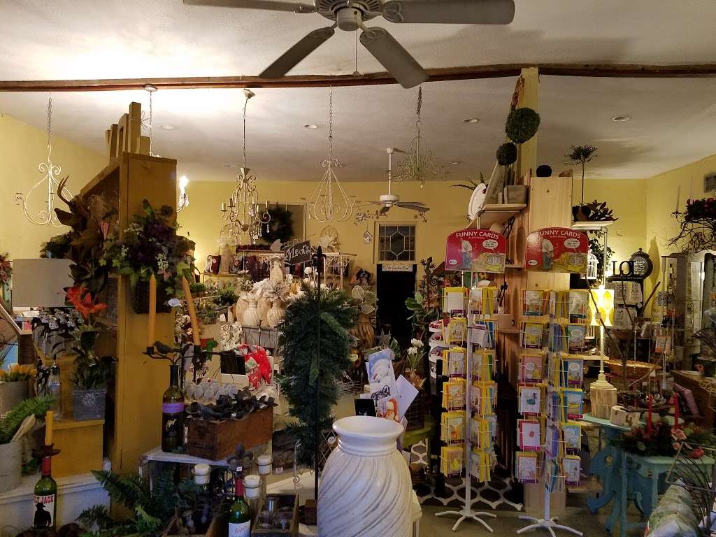 Red Door | 207 S Main St, Wildwood, FL 34785, USA | Phone: (352) 748-2044