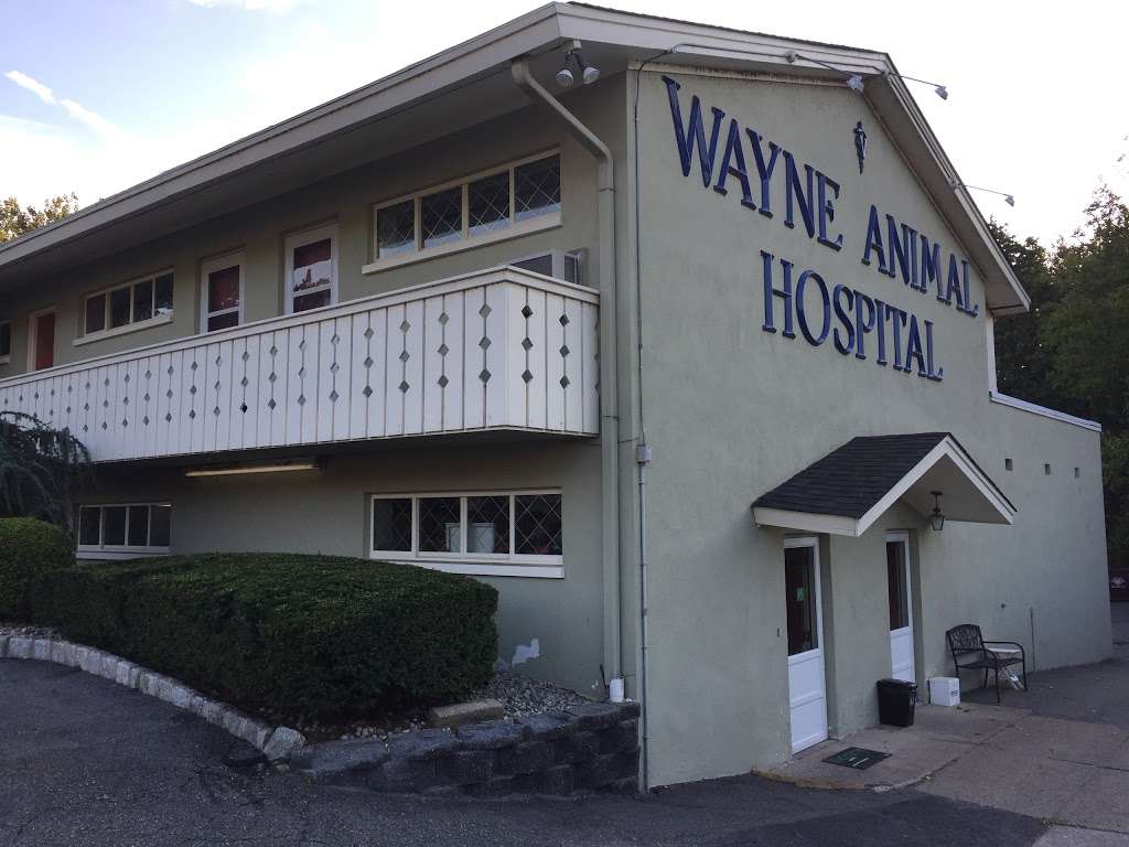 Wayne Animal Hospital | 2411 Hamburg Turnpike, Wayne, NJ 07470, USA | Phone: (973) 839-3737