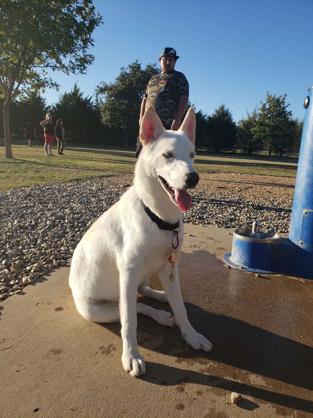 Irving Dog Park | 4140 Valley View Ln, Irving, TX 75038, USA | Phone: (972) 721-2256