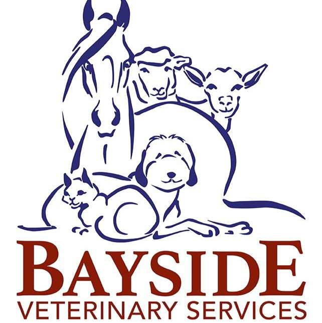 Bayside Veterinary Services | 605 Mango Tree Dr, Edgewater, FL 32132, USA | Phone: (386) 690-0139