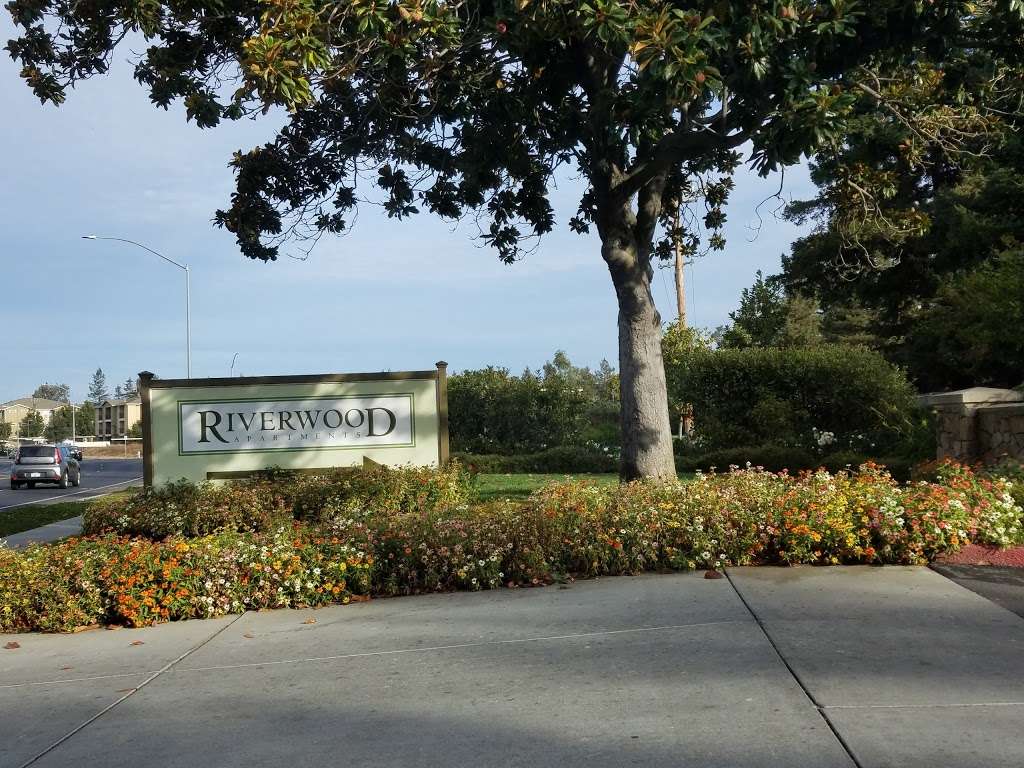 Riverwood Apartments | 2942 Soscol Ave, Napa, CA 94558, USA | Phone: (707) 252-1855