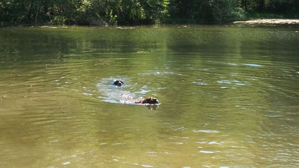 Green Turtle Lake - Ringwood State Park | Green Turtle Lake, West Milford, NJ 07421, Hewitt, NJ 07421, USA