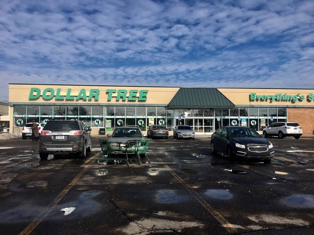 Dollar Tree | 23090 Coolidge Hwy, Oak Park, MI 48237, USA | Phone: (248) 677-9534