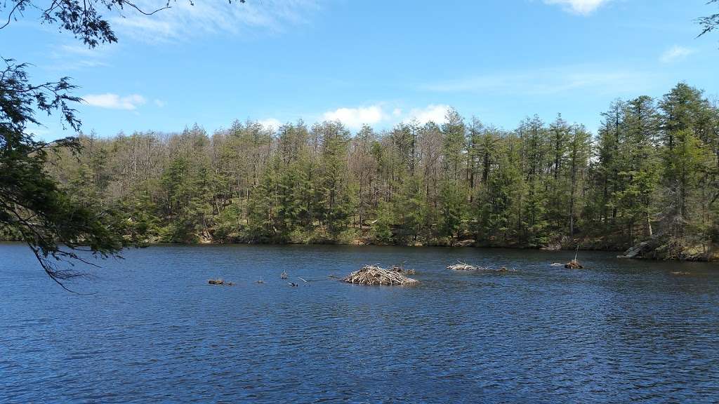 Appalachian Blue Trailhead | 1077 Cold Spring Turnpike, Hopewell Junction, NY 12533, USA