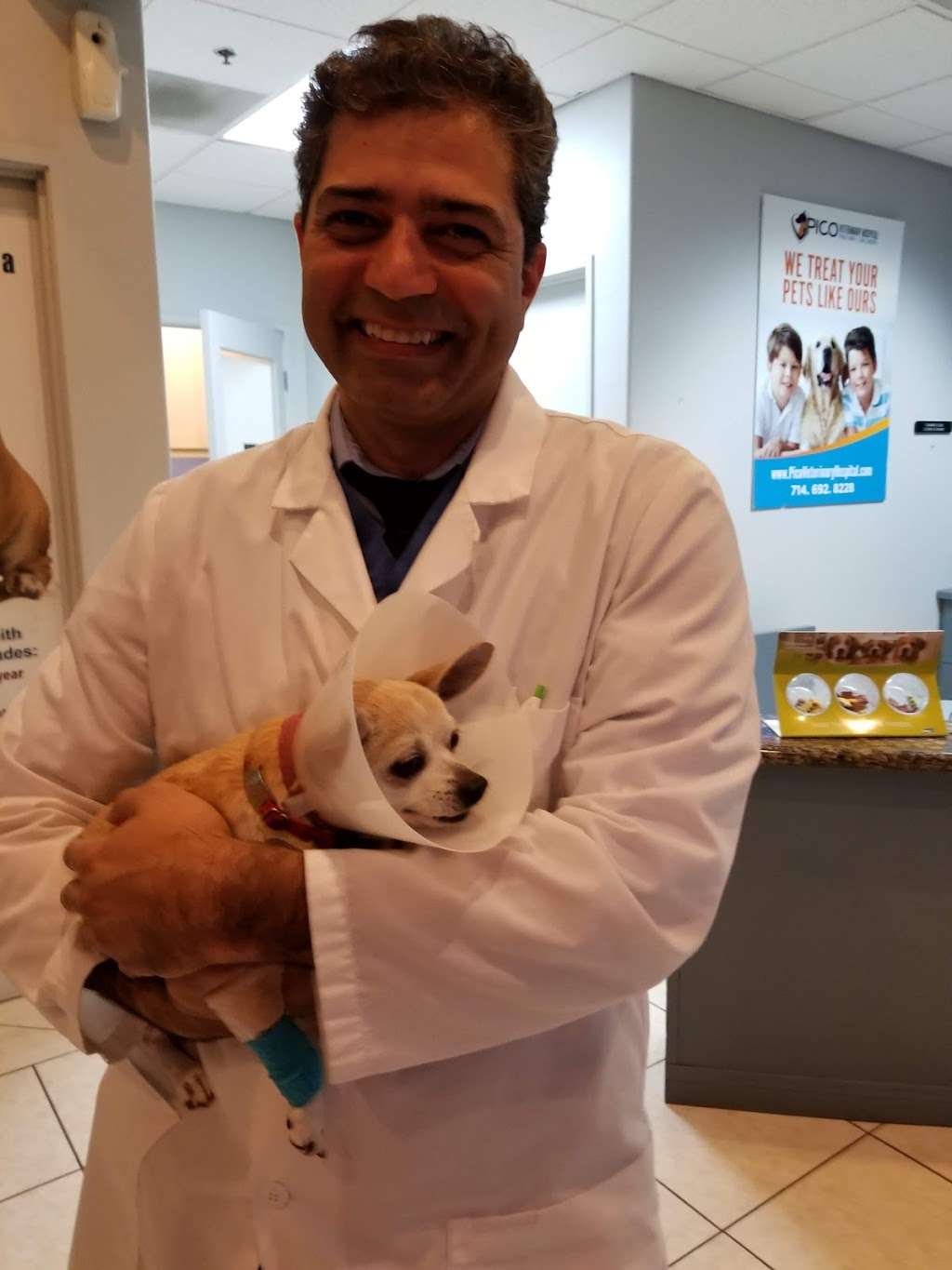 Pico Veterinary Hospital | 23661 La Palma Ave, Yorba Linda, CA 92887, USA | Phone: (714) 692-8228