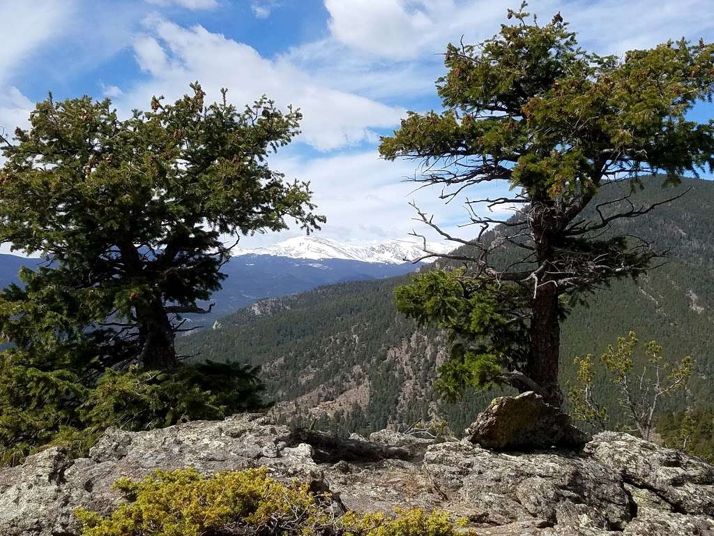 Bergen Peak Tract | Evergreen, CO 80439