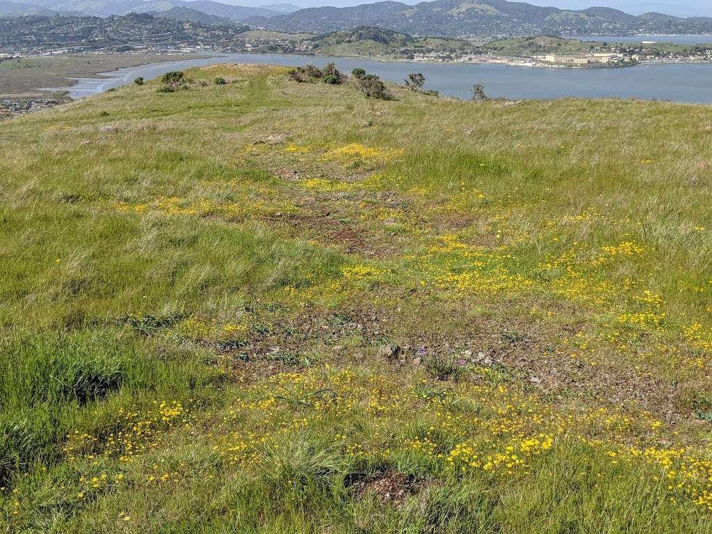 Ring Mountain Open Space Preserve | Loop Trail, Corte Madera, CA 94925, USA