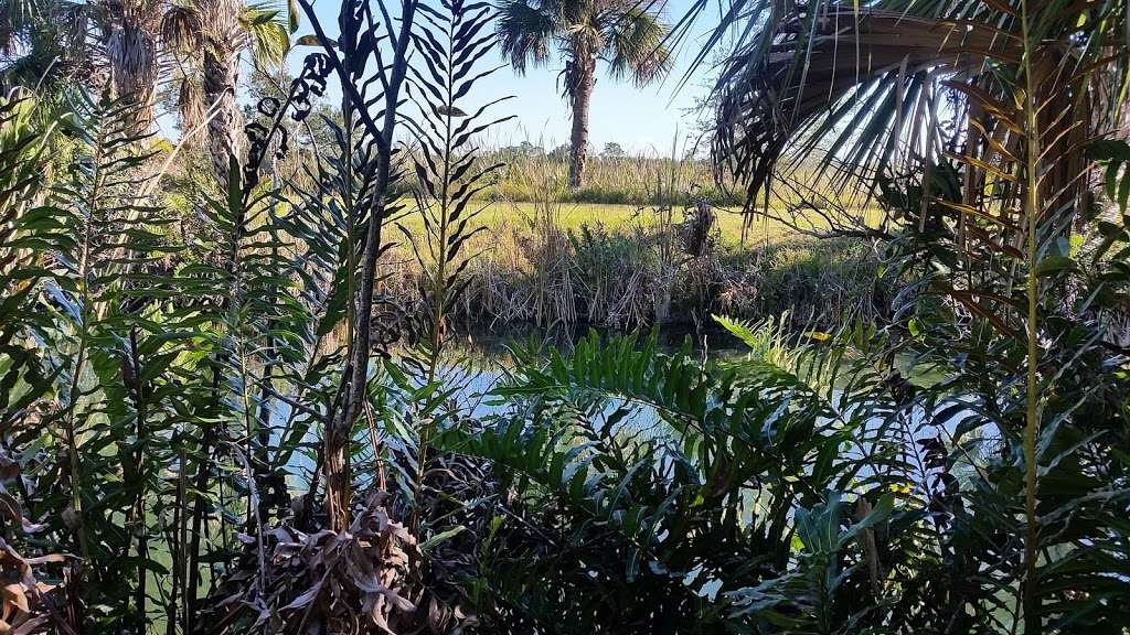 Allapattah Flats Campsite | Unnamed Road, Indiantown, FL 34956, USA