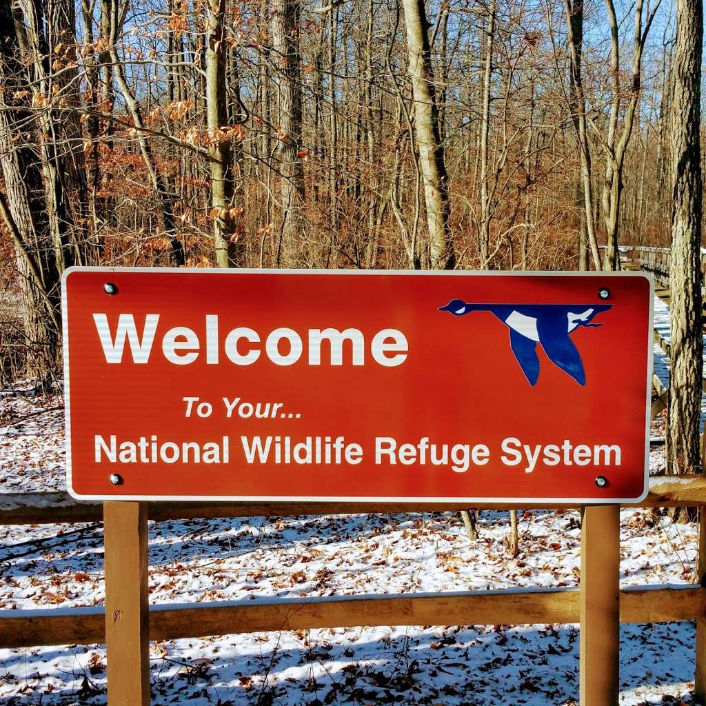 Great Swamp National Wildlife Refuge Wilderness Area | 220 Long Hill Rd, Gillette, NJ 07933, USA | Phone: (973) 425-1222