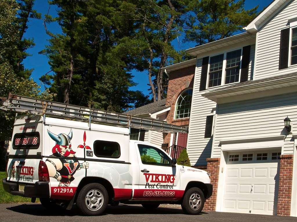 Viking Pest Control - Audubon | 449 W Nicholson Rd, Audubon, NJ 08106, USA | Phone: (856) 249-4221