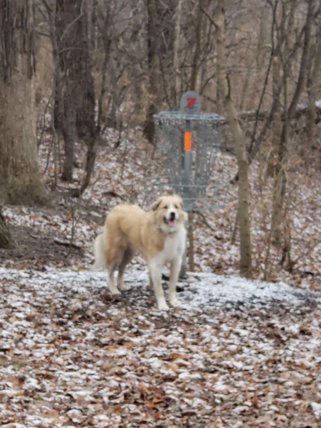 Round Barn Disc Golf Course | 24001-, 24199 Manhattan Rd, Manhattan, IL 60442, USA | Phone: (815) 478-3324