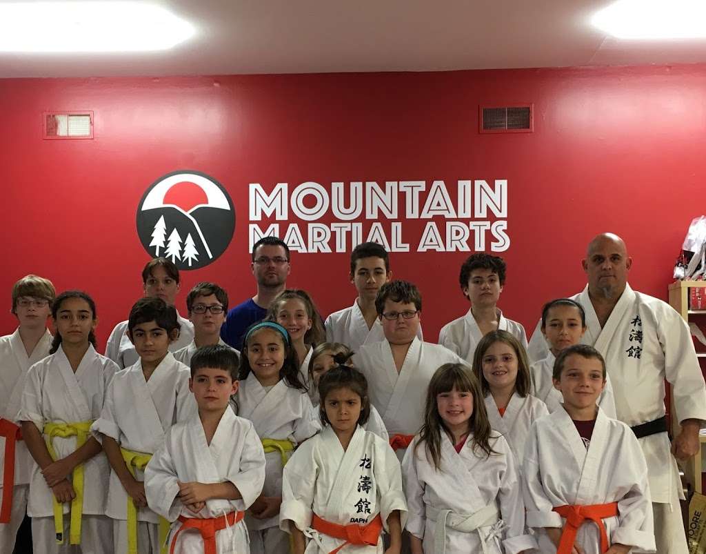 Mountain Martial Arts | 2165 Mt Bethel Hwy #32, Mt Bethel, PA 18343, USA | Phone: (973) 306-6164