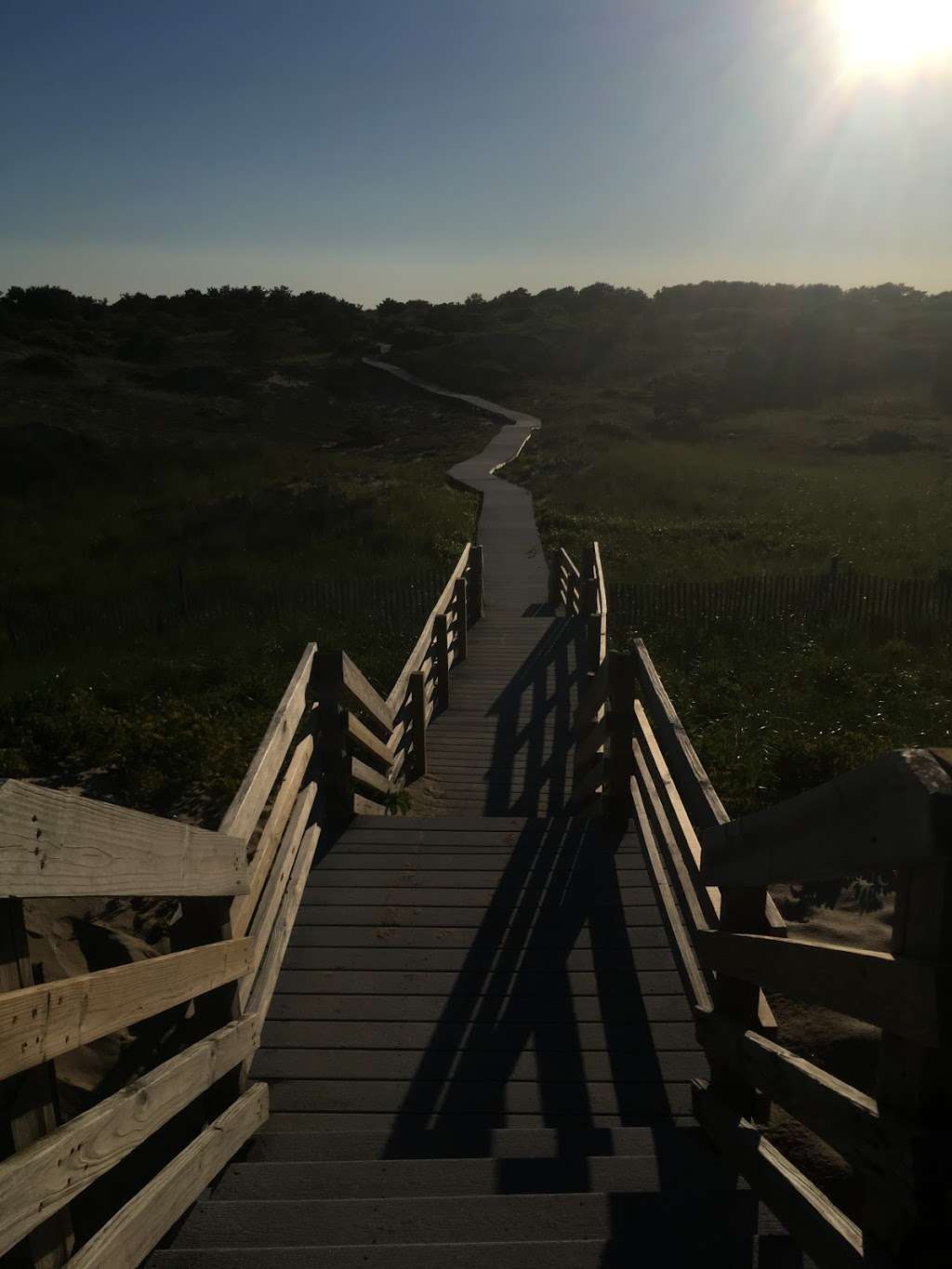 Pines Trail | Parker River National Wildlife Refuge, Rowley, MA 01969, USA | Phone: (978) 465-5753