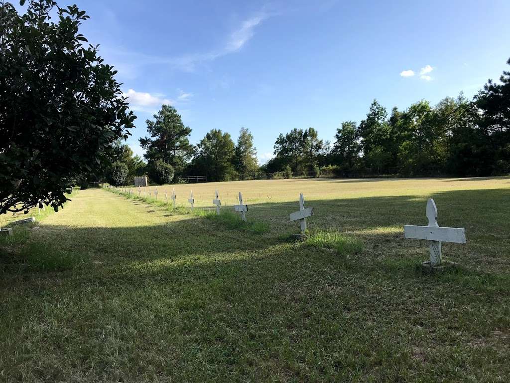 Dolen Community Cemetery | 9794 FM 787, Cleveland, TX 77327, USA