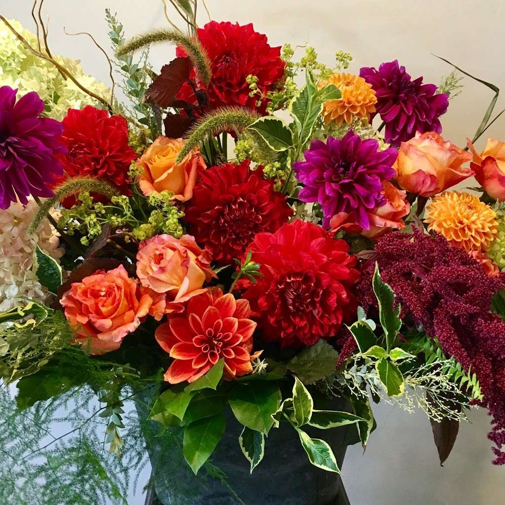 Derby Farm Flowers & Gardens | 218 Massachusetts Ave, Arlington, MA 02474, USA | Phone: (781) 643-0842