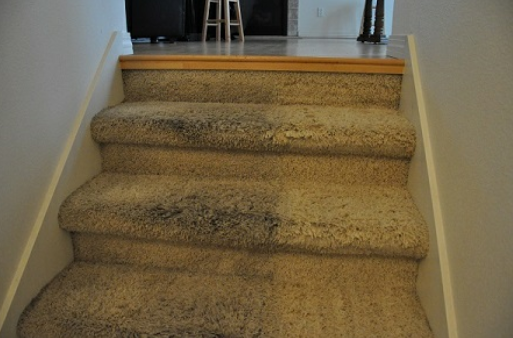 All American Carpet/Upholstery | 555 Sandel Way # 106, San Jose, CA 95136, USA | Phone: (669) 300-2289