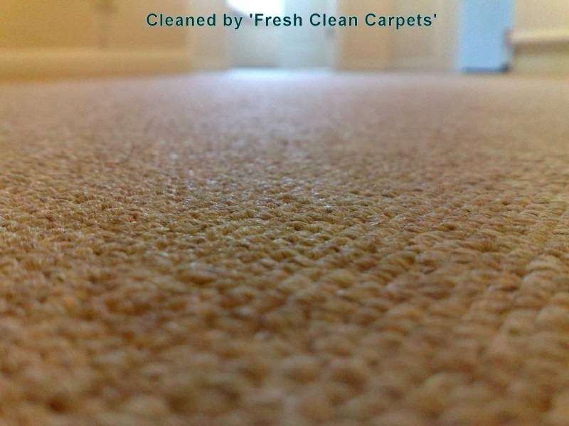 Fresh Clean Carpets | 28 Blackhorse Ln, South Mimms, Potters Bar EN6 3PS, UK | Phone: 020 8144 4596