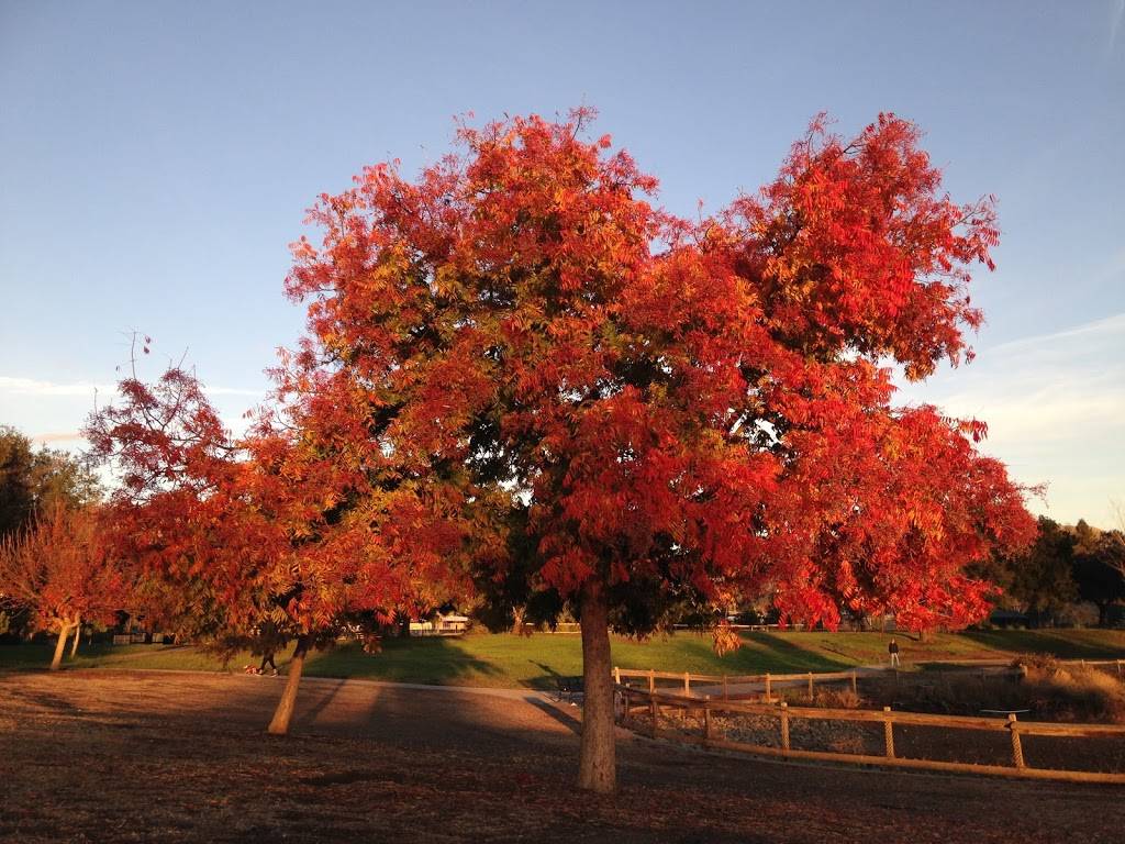 Penitencia Creek Park | 3050 Berryessa Rd, San Jose, CA 95132, USA | Phone: (408) 535-3570 Penitencia Creek Park | 3050 Berryessa Rd, San Jose, CA 95132, USA | Phone: (408) 535-3570