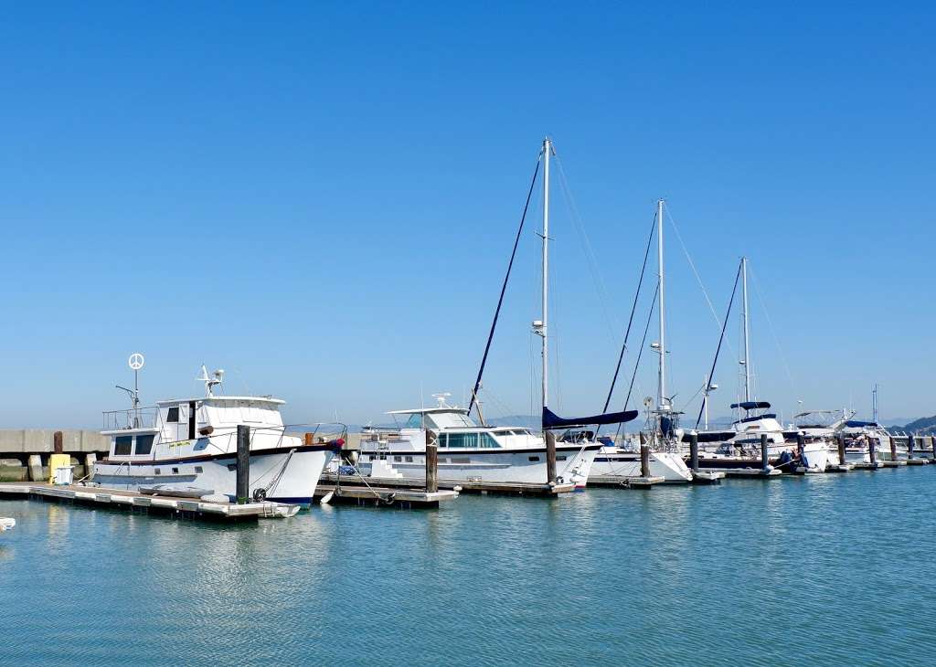 The San Francisco Sailing Company | Pier 39, Beach St, San Francisco, CA 94133, USA | Phone: (415) 378-4887