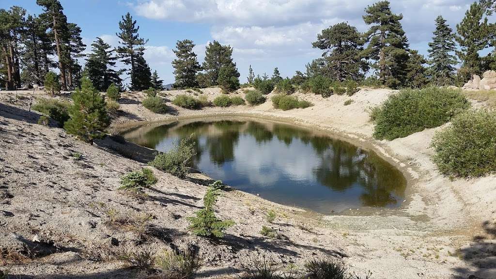 Mt Waterman Trailhead | Angeles National Forest,, Angeles Crest Hwy, Pearblossom, CA 93553 | Phone: (626) 574-1613