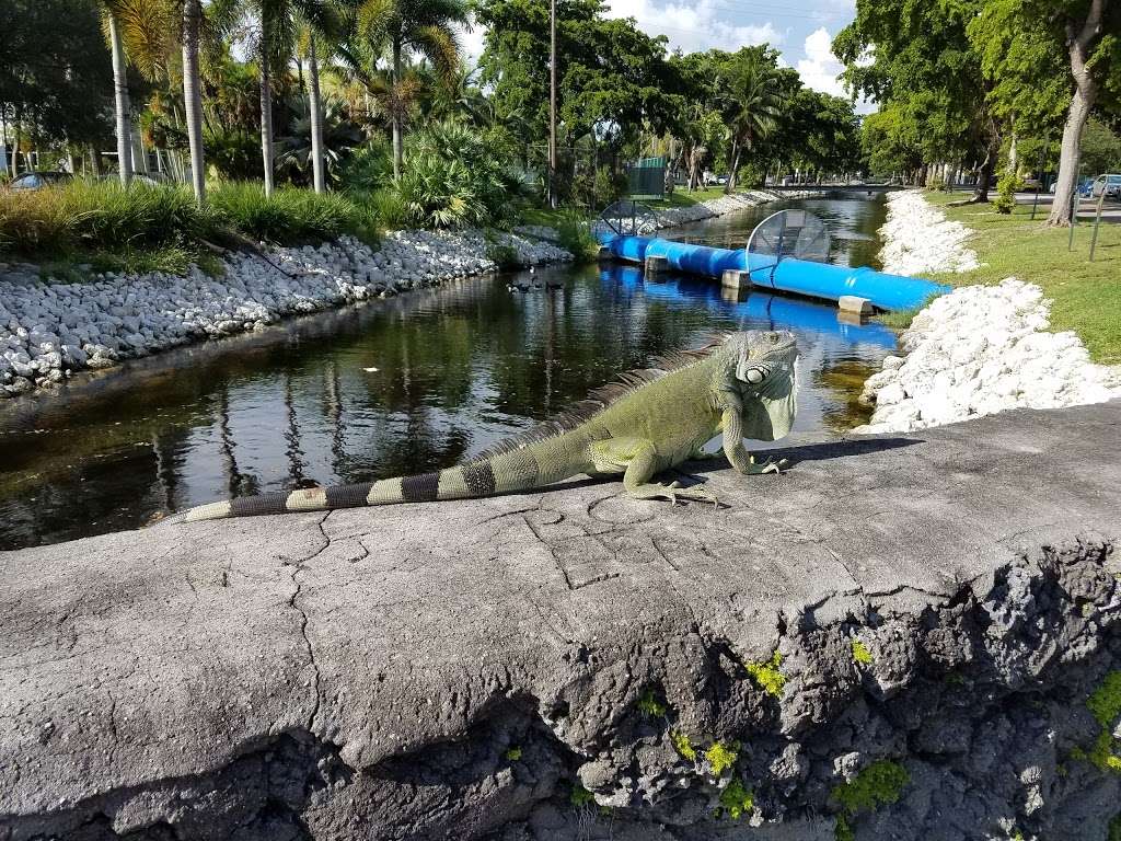 Miami Springs Branch Library | 401 Westward Dr, Miami Springs, FL 33166, USA | Phone: (305) 805-3811