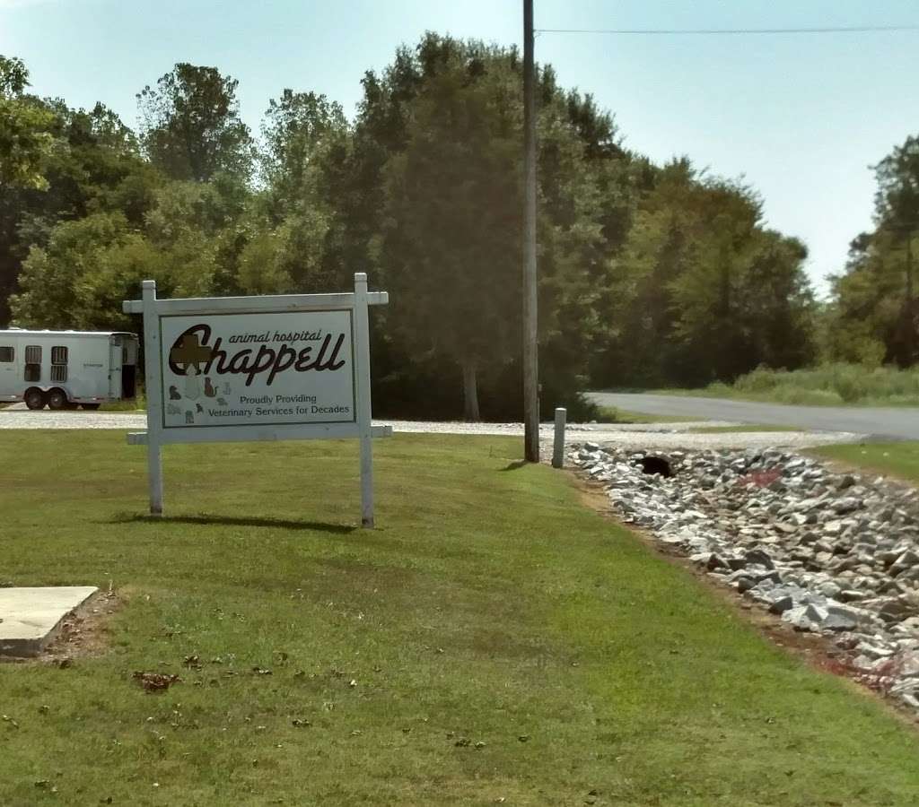 Chappell Animal Hospital | 940 E Chappell Rd, Rock Hill, SC 29730, USA | Phone: (803) 324-4271