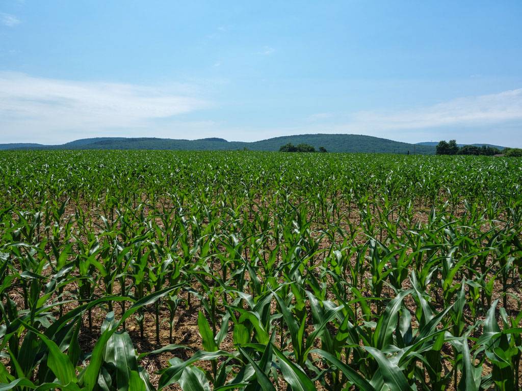 Appalachian Trail | Appalachian Trail, Boiling Springs, PA 17007, USA