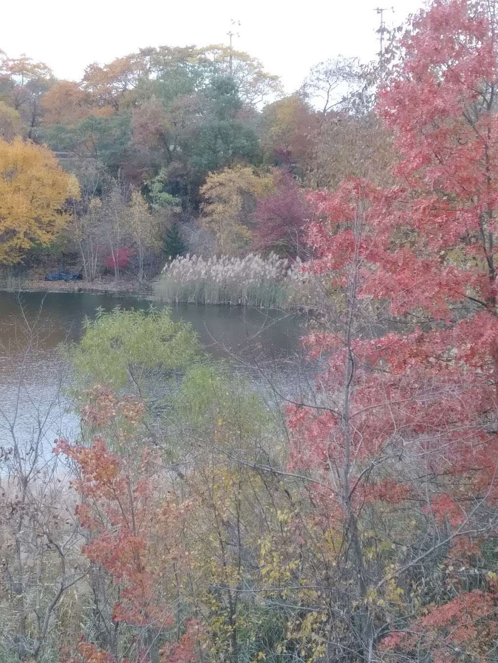 Upper Roxborough Reservoir Preserve | Port Royal Ave, Philadelphia, PA 19128, USA | Phone: (215) 988-9334