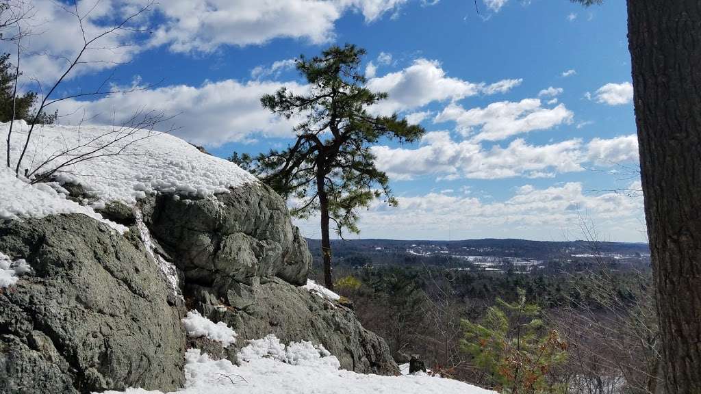 Oak Hill Conservation Site | 16D Oak Hill Rd, Littleton, MA 01460, USA